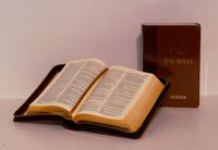 Bibel Taschenformat…