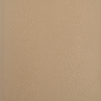 Predigtmappe A5 beige…