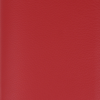 Predigtmappe A5 rot…